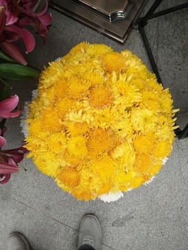 菊花