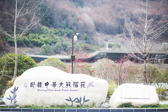 臥龍大熊貓博物館