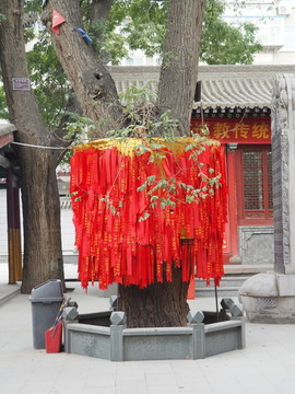 寧夏萬(wàn)壽觀