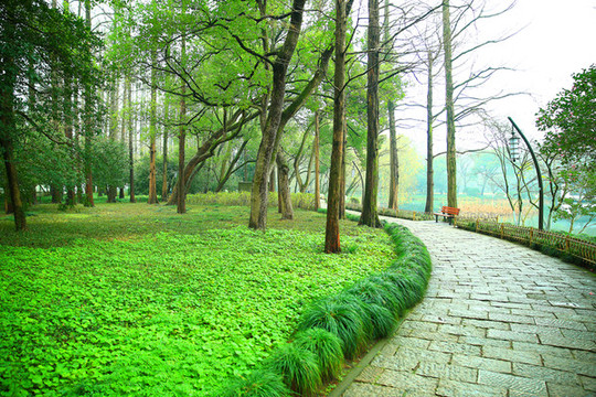 公園石板路