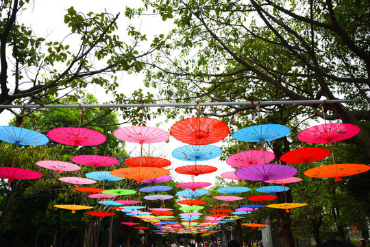 油紙雨傘