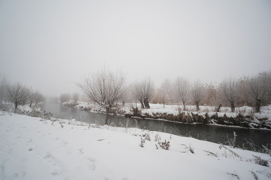 雪景