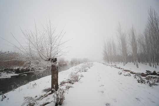 雪景