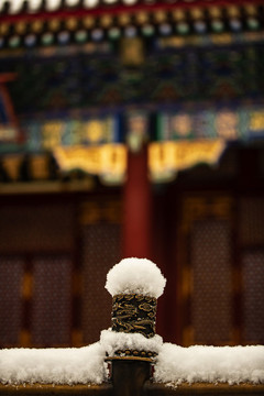頤和園雪景