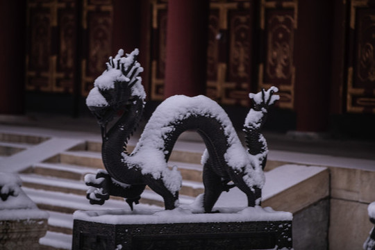 頤和園雪景