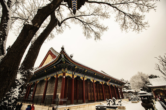 頤和園雪景