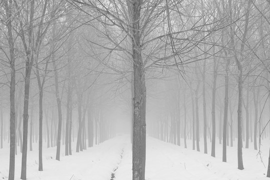 冬季雪景