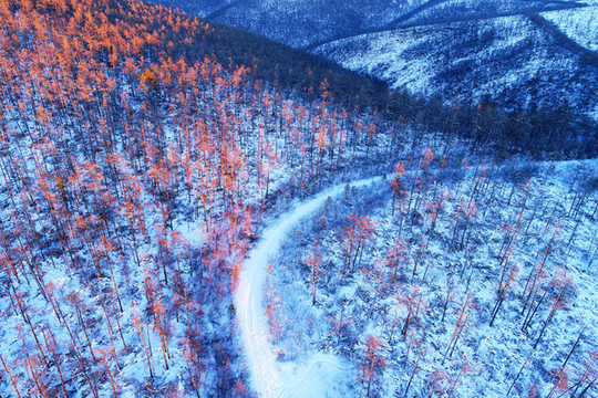 大興安嶺林海雪原山路夕照