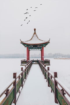 飛鳥飛過(guò)湖心亭