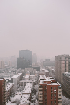 城市雪景