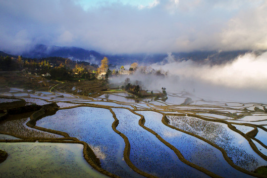 元陽(yáng)梯田愛(ài)村
