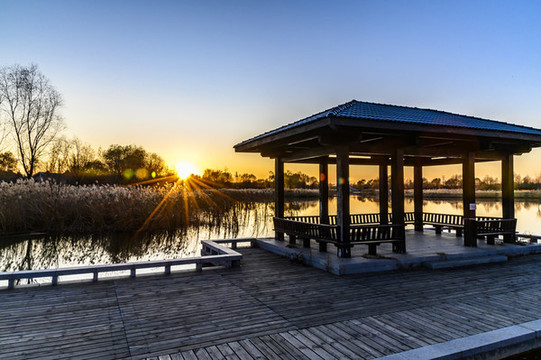 中國長春北湖國家濕地公園落日景