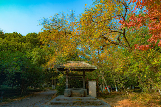 春秋淹城遺址