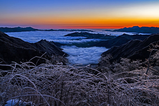 雪景