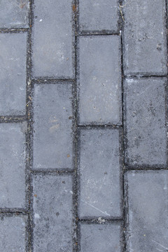 青磚道路