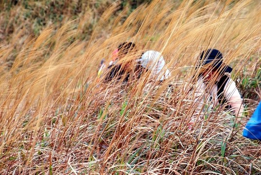 登山者