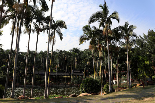 青秀山公園