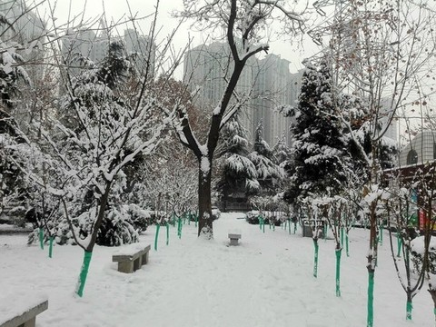 雪后公園
