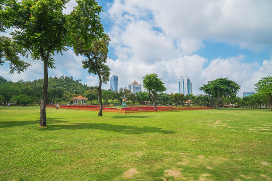 珠海市濱海公園的樹林和草坪