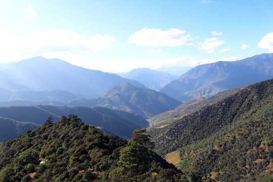 蒼山