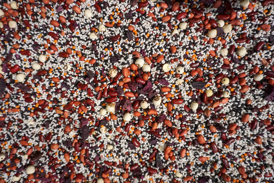 蓮子紅豆花生黑米八寶粥