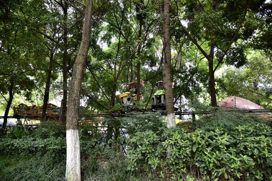 公園娛樂(lè)