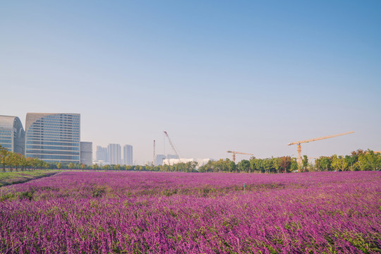 浙江杭州城市建筑和道路交通