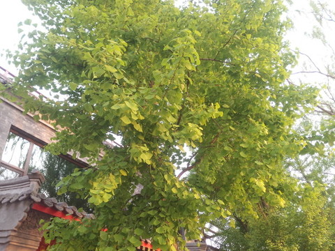 北京頤和園