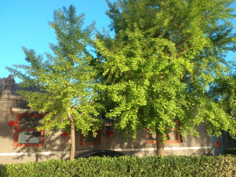 北京頤和園