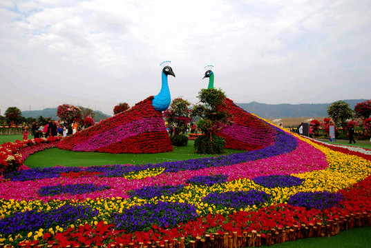 鮮花造型