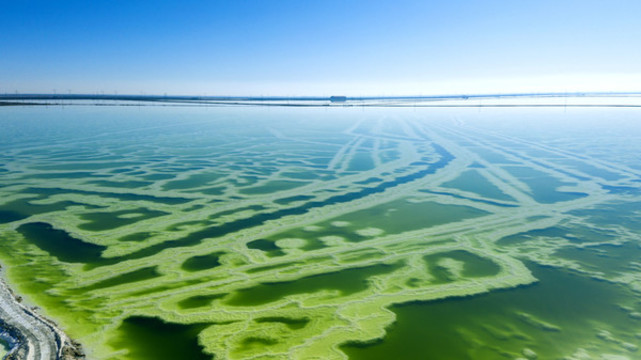 鹽湖湖底迷宮
