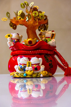 發(fā)財(cái)樹