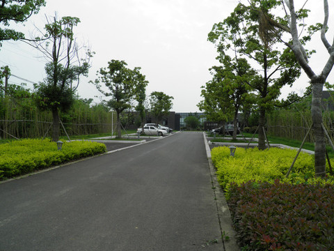綠化停車場