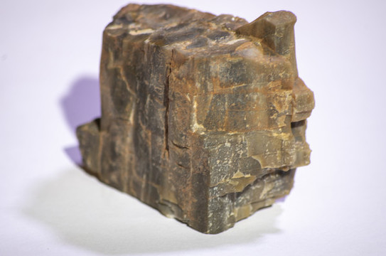 硅化石标本