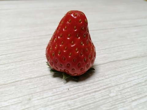 草莓