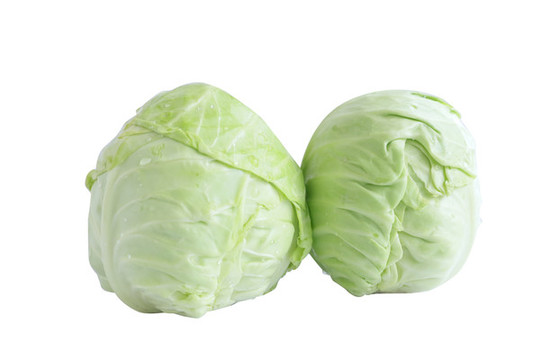 包菜