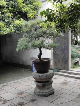 蘇州園林