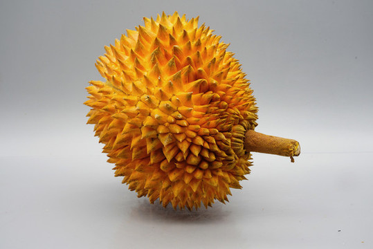 榴蓮水果