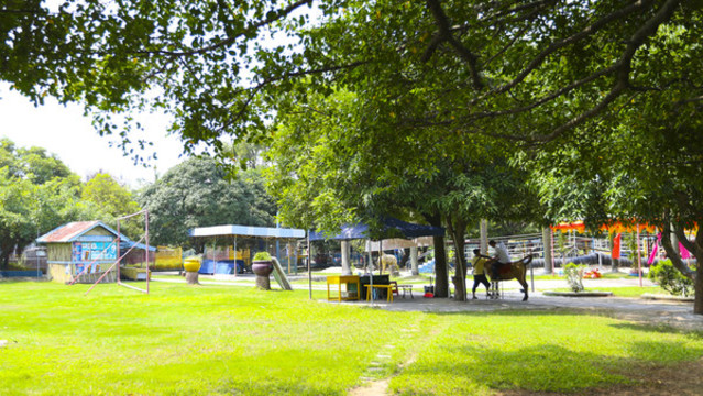 鱷魚湖公園