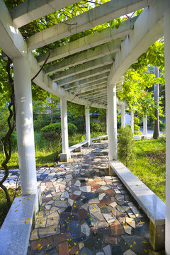 新農(nóng)村