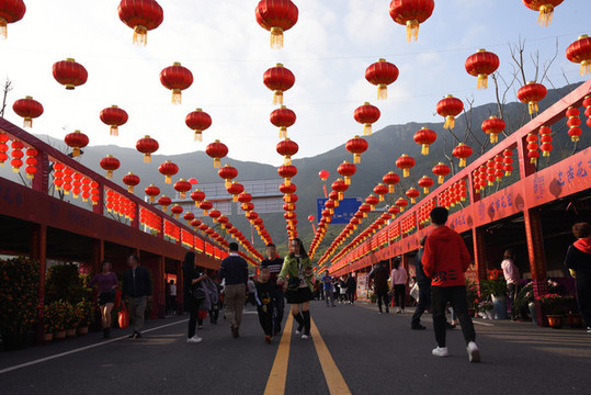 紅燈籠