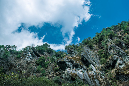 蒼山混合花崗巖