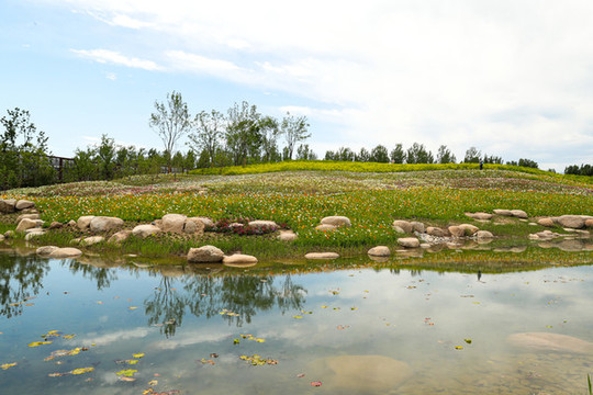 北京世界園藝博覽會(huì)景觀(guān)園林