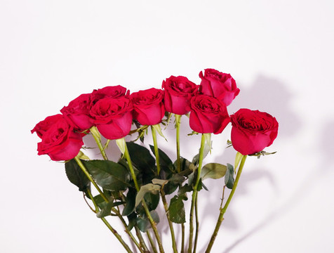 玫瑰花