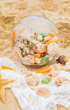 沙灘上美麗的海星和貝殼類(lèi)