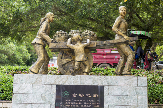 博白縣人民公園桂圓