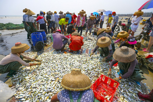 漁民捕魚(yú)