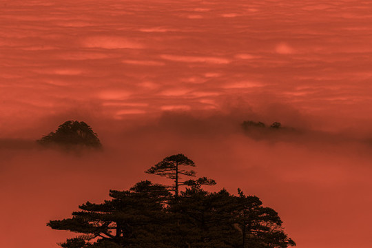 黃山