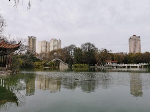 公園水面