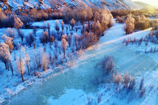 雪域冰河紅樹林